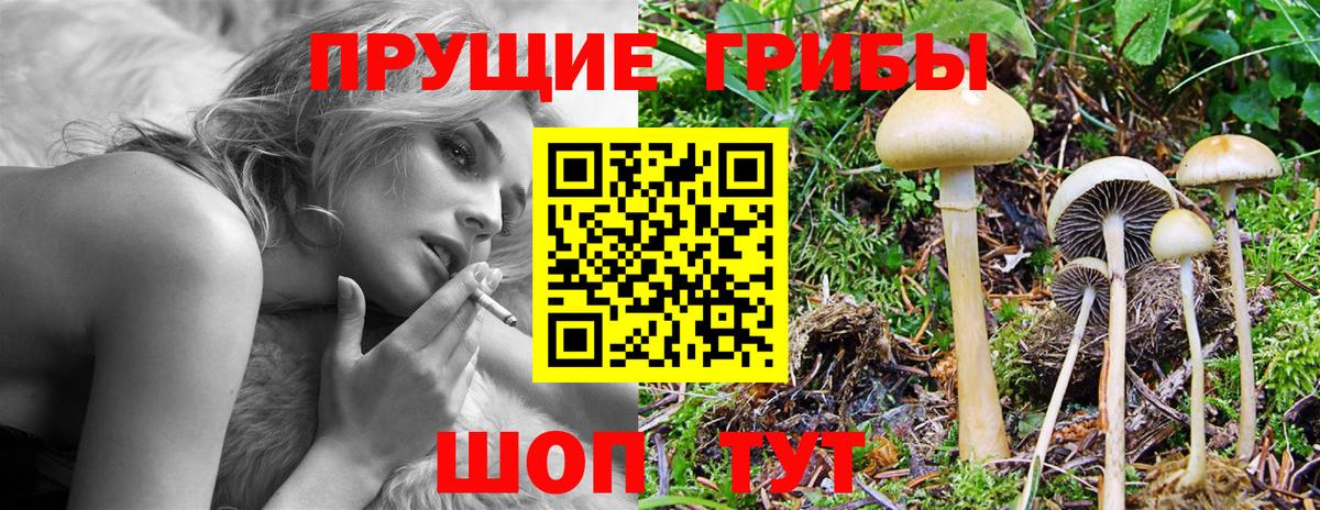 Кирово-Чепецк  Псилоцибиновые грибы ЛСД  Вход с VPN  дарнет шоп  Псилоцибиновые грибы Psilocybe 